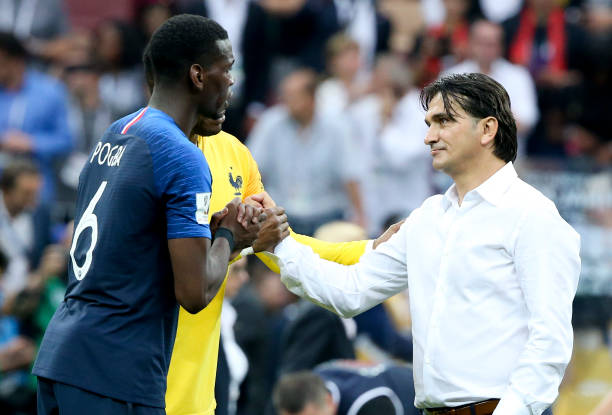 动发展的专 动发展的专