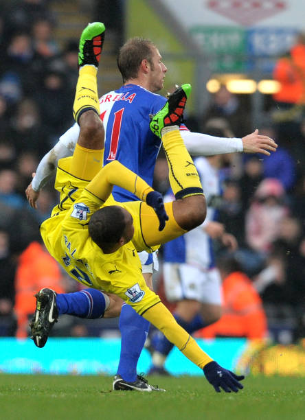 重要一员的 重要一员的